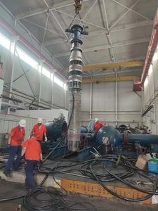 Submersible Pump