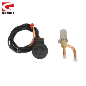 Gangli Electronic Expansion Valve for Air Conditioning Refrigeration Systems