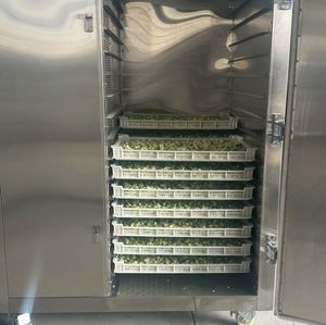 Low-Temperature Drying Box Uniform Heating Environmentally Friendly Dryer