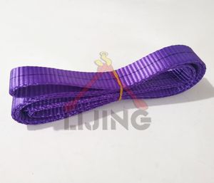 Heavy Duty Purple Polyester Flat Lifting Webbing Sling Endless (EN) Web Slings