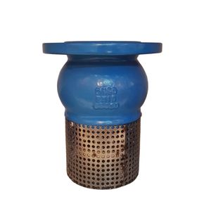 Ductile Cast Iron Manual Water Pump Flange Foot Valve Check Valve