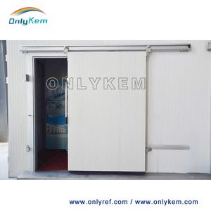 Cold Storage Doors Walk in Chiller Sliding Door for Cold Room