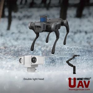 Compact Dual-Sensor Module Integrating Infrared Thermal Imaging with Laser Ranging