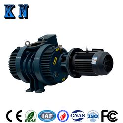 Roots Vacuum Pump for Smelting, Degassing, Rolling