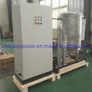 50g Ozonator System for Swimming Pool