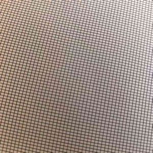 High Quality Stainless Steel Security Window Screen Mesh/304 16 18 20mesh