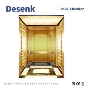 Vvvf Passenger Lift with Best After Service for Shopping Mall Used