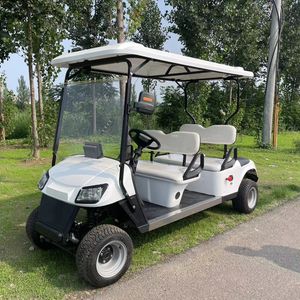 Modern Style Golf Cart Electric Golf Cart 48V Battery Voltage
