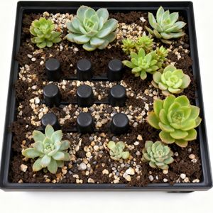 Complete Self Watering Planting Box with Ready to Use Kit for Immediate Garden Creation