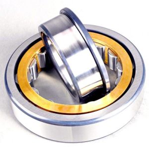 Deep Groove Ball/Thrust/Angular Contact/Ball Bearing/Taper/Cylindrical Roller/ Pillow Block/Self Aligning/Wheel Hub Bearing