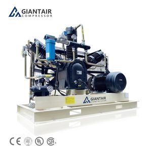Strong 2.0m3/Min 6.0m3/Min Booster Pump High Pressure 40bar 35bar 30bar Piston Air Compressor for Pet Bottle Blowing