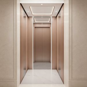 Luxury Customized Villa Household Home Passenger Elevator for Modern Buildings
