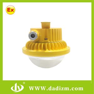 Durable Explosion-Proof LED Lights for Industrial Safety Zones