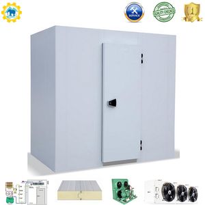 Chamber Freezer Room Industrial Refrigeration Cold Storage Freezer Cold Room