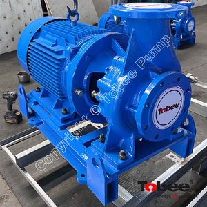 Horizontal Inline Pump with Cast Iron Material for Processing Clear Water