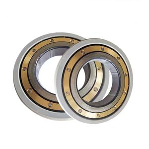Insulated Ceramic Coated High-Speed Cylindrical Roller Nu220 222 224 226 228 230 232 M Electric Insulated Motor Bearing
