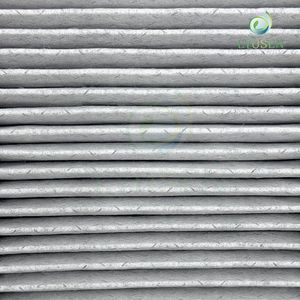 Activated Carbon Cabin Air Filter for Vehicle Air Conditioning System with Deodorizing Function Layer