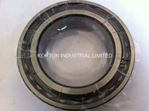 Cylindrical Roller Bearing SKF Bearing (NN3018KTN/SP)
