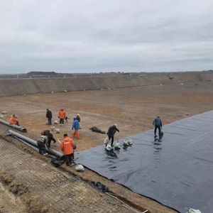 0.3mm/0.5mm/0.75mm/1.2mm/1.5mm Vannamei Shrimp Fish Farm Tank Mines Washing Pool/Floating Covers/Tunnel/Leachate Pond Liner HDPE Geomembrane HDPE Liner/Membrane
