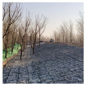 Wire Mesh Hexagonal Gabion Basket Filled with Stones Gabion Box