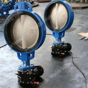 Gearbox CF8m Disc Butterfly Valve Food Grade with Acs Approved