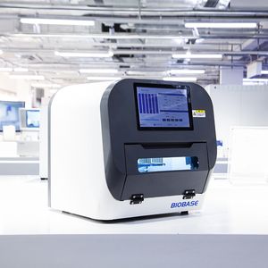 Biobase China High Quality Nucleic Acid Extractor Rna DNA Nucleic Acid Testing Machine for Lab Use