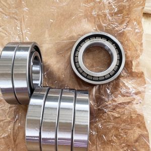 Brand Nu2304 to Nu2320 Cylindrical Roller Bearing Series, High Quality with ISO Certificate and OEM Service