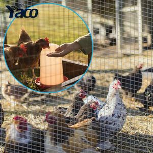 316 Stainless Steel Welded Mesh Panel 3X3 Hole Special for Pet Cages