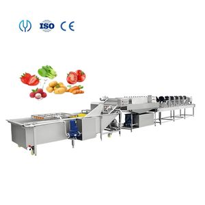 High Output Vegetable Ozone Bubble Washing and Vibration Wind Drying Processing Line