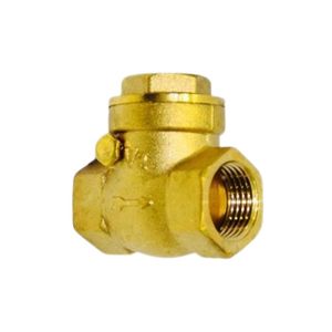 Premium Brass Check Valve for Efficient Water Flow Management