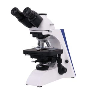 Advanced Phase Contrast Microscope for Enhanced Cellular Imaging