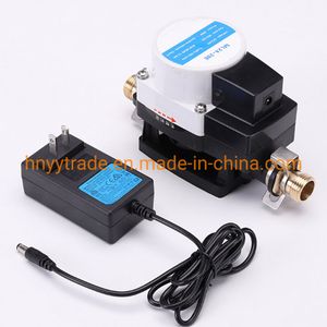 Mini 24V DC High Pressure Electric Hot Water Pressure Booster Pump