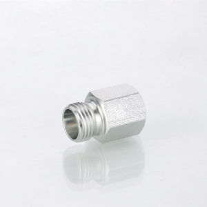 5cm 5CB Stainless Steel Hydraulic Adaptor Metric Female / Bsp Female Fitting
