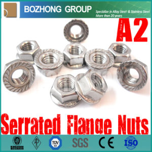 Manufacture Custom M2 to M64 Anchor Bolts Screw and Nut Coil Plate Bar Pipe Fitting