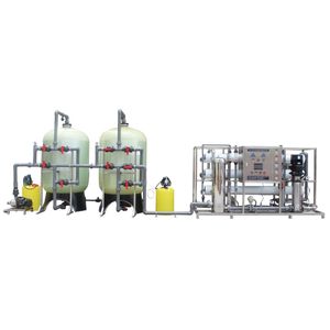 Industrial RO Purification System Salt Water Treatment Plant Water RO System Price 10t/H Borehole Purifier Filter Plant Industrial RO Plant Cost