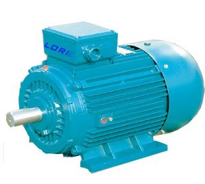 Ye3 Ye2 Yx3 High Efficiency Three Phase Induction Motor for Pump Fan Compressor