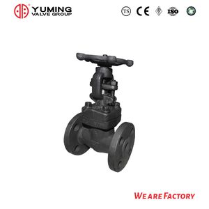 Chinese Manufacturer Yuming Valve Forged Steel Gate Valve