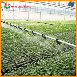 Intelligent Multi Span Polycarbonate Plate Greenhouse for Vegetables