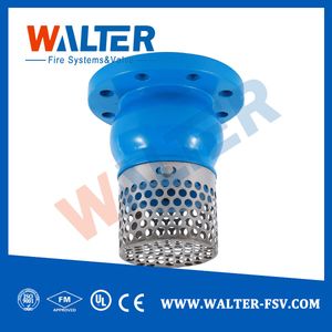 Flanged Cast Iron Bolts Foot Valve