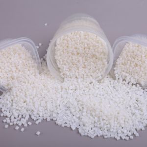 Injection Mold PPS+40% Glass Fiber Plastic Material for Pump