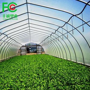 Agricultural Waterproof Polyethylene Greenhouse Film for Vegetable Crop