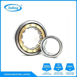 High Load Capacity Cylindrical Roller Bearing Nu304 Nu305 Nu306 Nj307 Nup308m Em