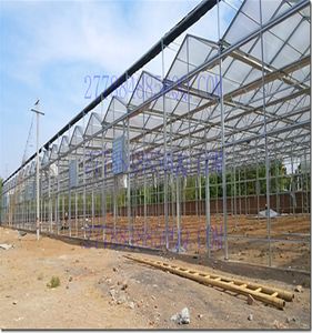 Polycarbonate Roofing Sheet for Greenhouse/Pool/Farmhouse