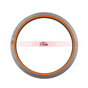 Wheel Hub Oil Seal 155X176X16 Combi NBR 12001924b 155*176*16