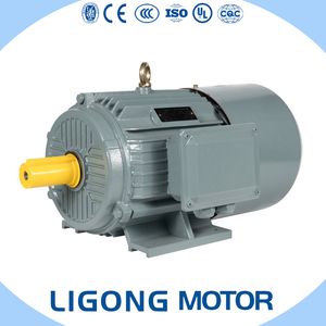 Three-Phase Asynchronous Electric Brake Motor Yej2200L-4 30kw 1470rpm for Door Leveler