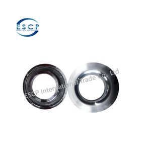 Tt Goul Replacement Titanium Stainless Carbon Steel CD4 316 304 Centrifugal Pump Sideplate