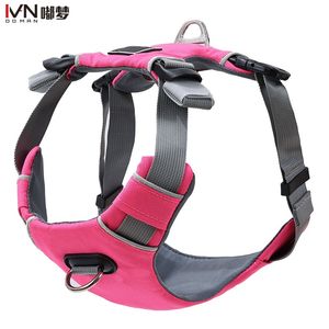 This Versatile Pet Chest and Back Is Perfect for Walking Dogs
