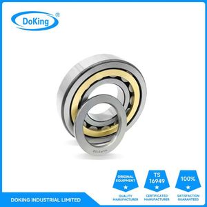 Top Quality Customization Cylindrical Roller Bearing Fast Delivery