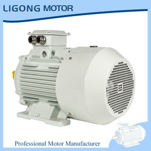 High-Performance Three-Phase Electric Motor 37kw 380V IP55 IC411 for Water Treatment Systems