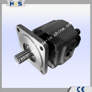 Cast Iron Pump SAE C Flang Bsp Ports Kbfp-G0